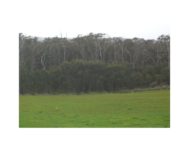 1 Collins Road, Timboon VIC 3268