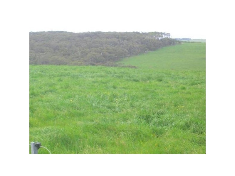 2 Collins Road, Timboon VIC 3268
