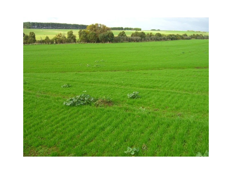 601 Boorook Road, Timboon VIC 3268