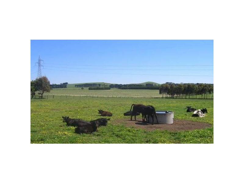 109 Jancourt Road, Cobden VIC 3266