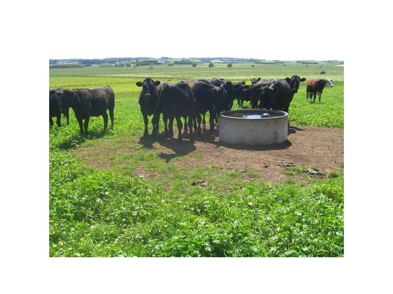 109 Jancourt Road, Cobden VIC 3266