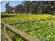 190 Bullaharre Road, Cobden VIC 3266