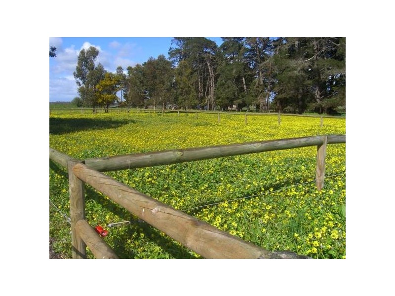 190 Bullaharre Road, Cobden VIC 3266