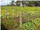 190 Bullaharre Road, Cobden VIC 3266