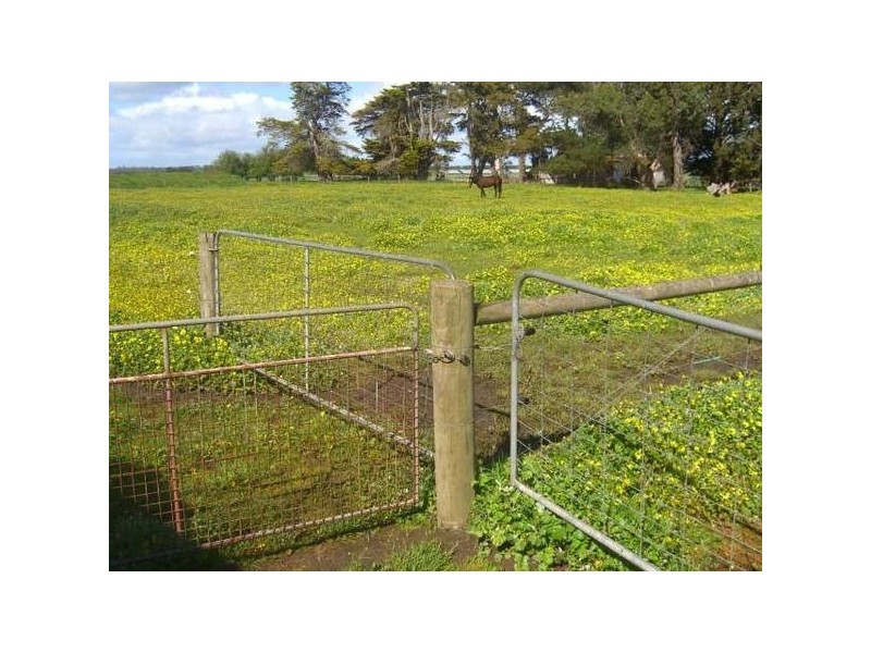 190 Bullaharre Road, Cobden VIC 3266