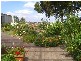 76 Walker Street, Cobden VIC 3266