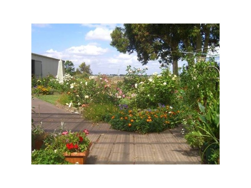 76 Walker Street, Cobden VIC 3266