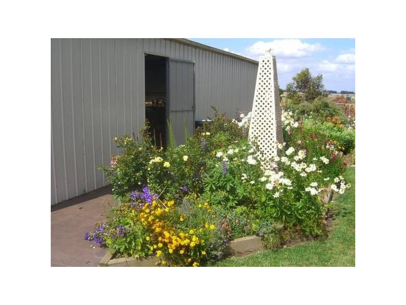 76 Walker Street, Cobden VIC 3266