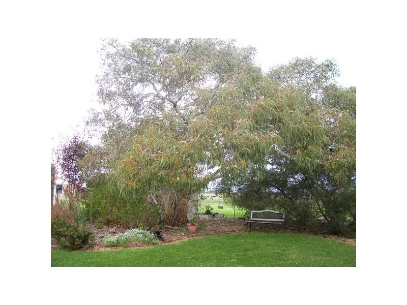969 Cobden – Warrnambool Road, Glenfyne VIC 3266