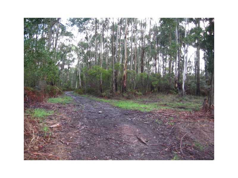 13A Lavershill – Cobden Road, Kennedys Creek VIC 3239