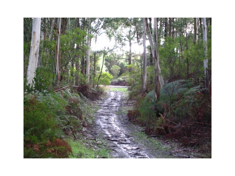 13A Lavershill – Cobden Road, Kennedys Creek VIC 3239