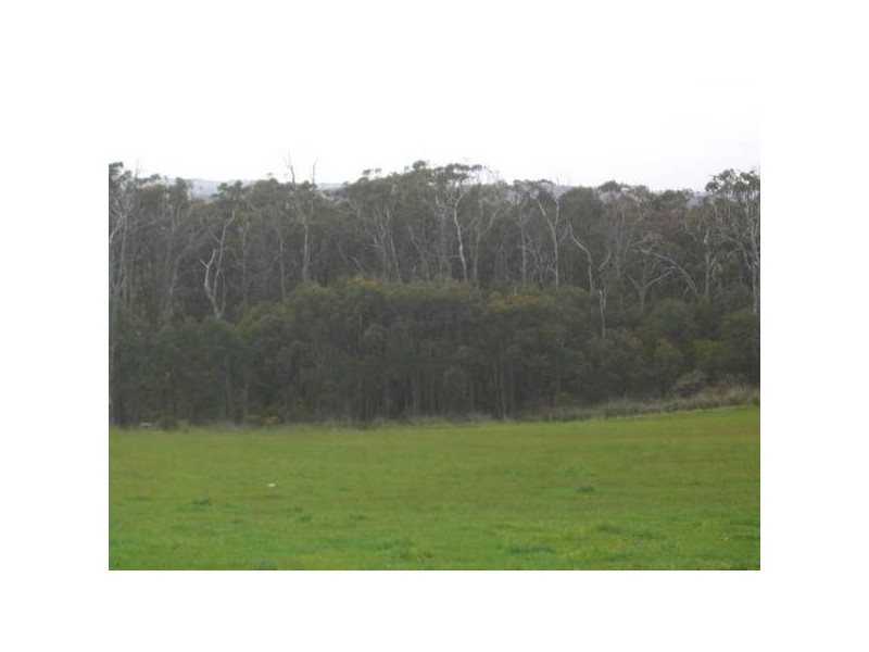 3 Collins Road, Timboon VIC 3268