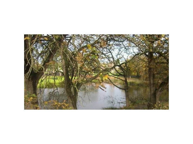 36 Peter Street, Cobden VIC 3266