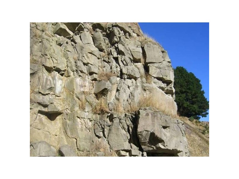 1550 Old Beachforest Road, Beech Forest VIC 3237