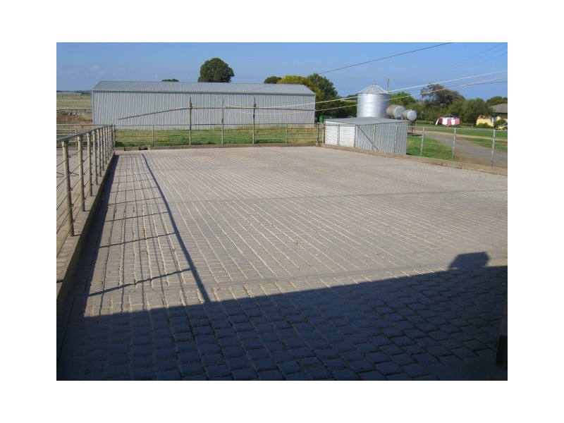 91 Faulkners North Road, Tarrone VIC 3283