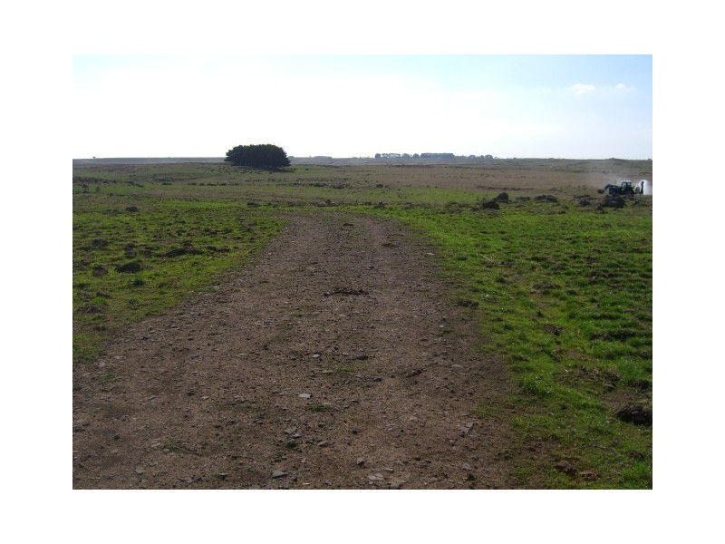 91 Faulkners North Road, Tarrone VIC 3283