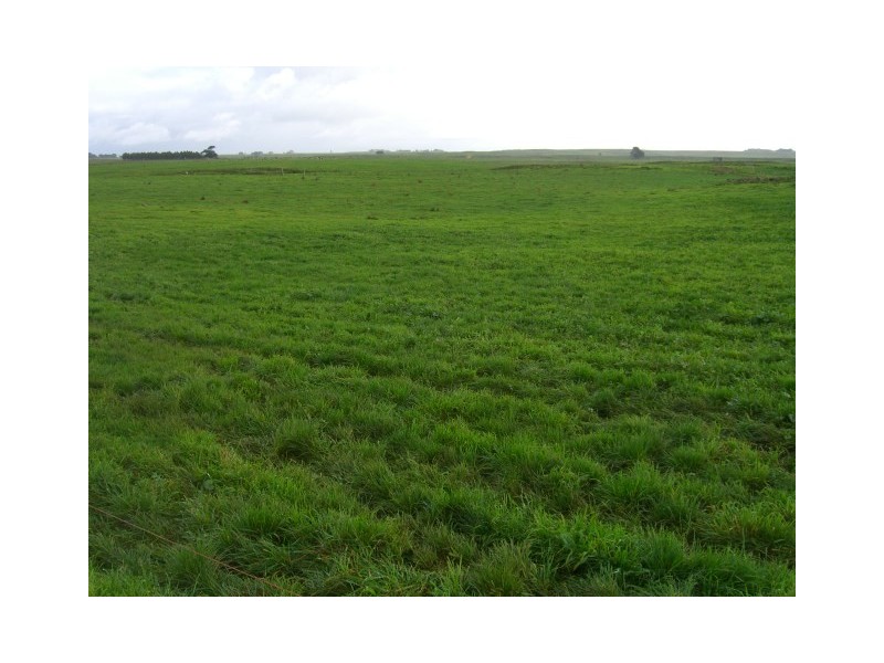 91 Faulkners North Road, Tarrone VIC 3283