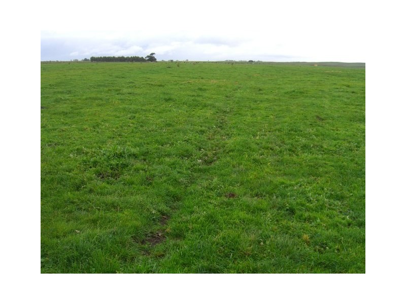 91 Faulkners North Road, Tarrone VIC 3283