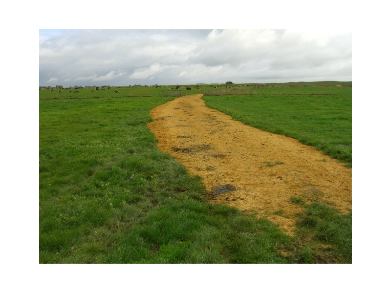 91 Faulkners North Road, Tarrone VIC 3283