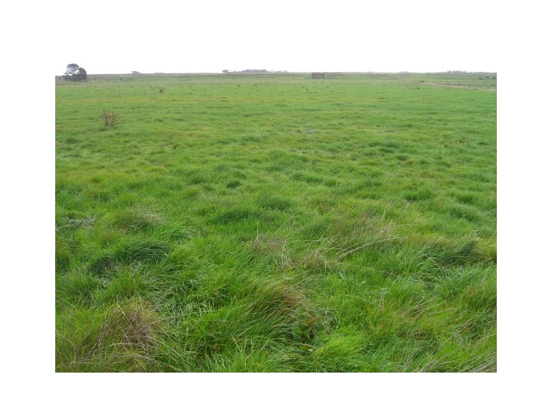 91 Faulkners North Road, Tarrone VIC 3283