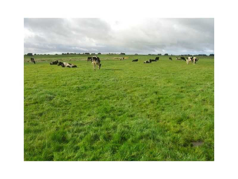 91 Faulkners North Road, Tarrone VIC 3283