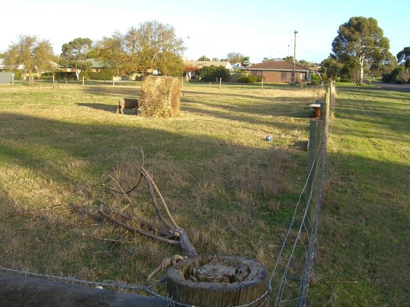 40 Shenfield Street, Cobden VIC 3266