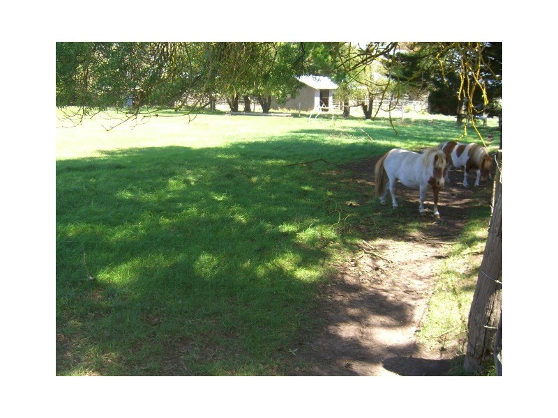 189 Nelsons Road, Elingamite VIC 3266