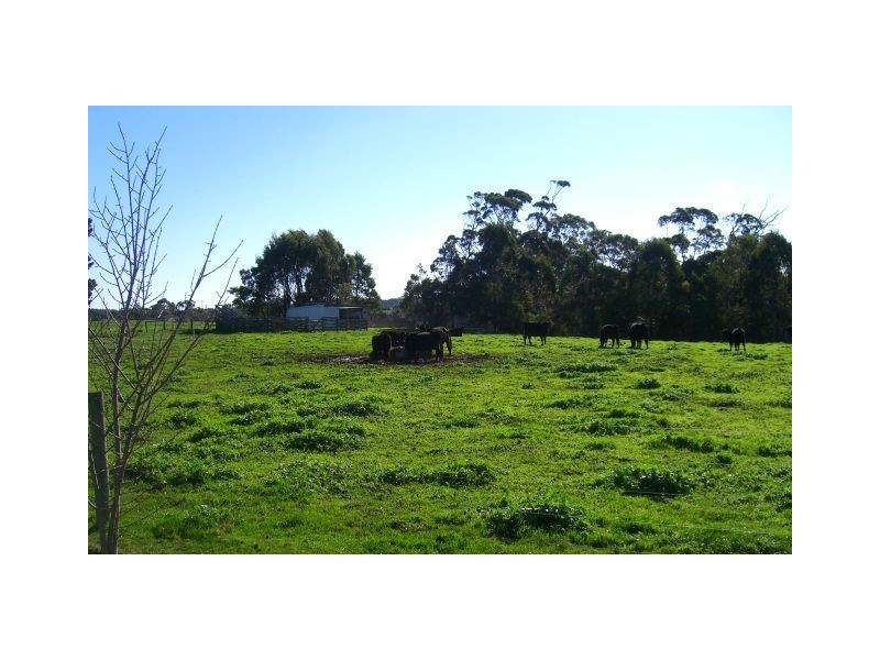 69 Cobden-Port Campbell Road, Cobden VIC 3266