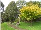 47 Main Street, Timboon VIC 3268