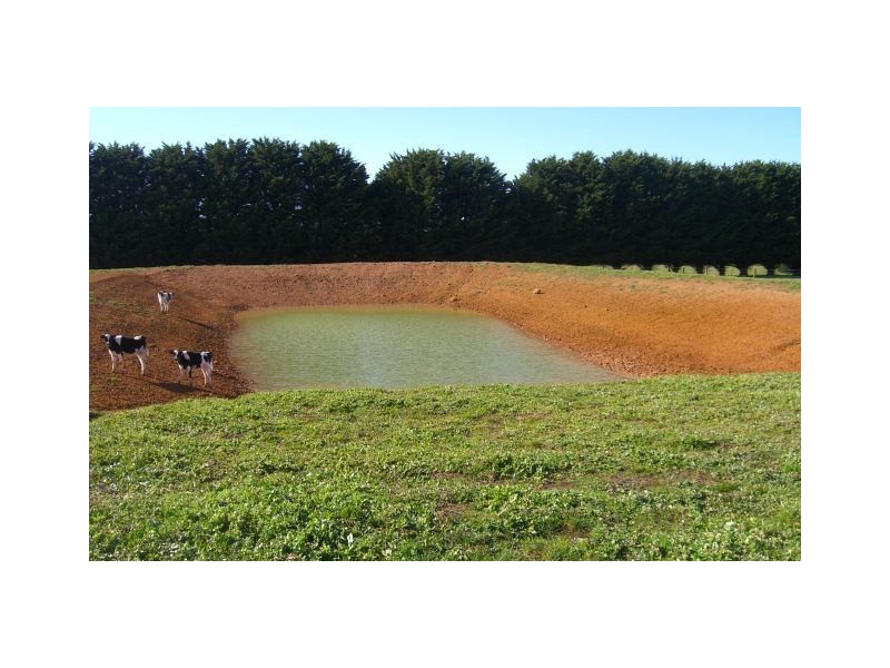 1947 Lavers Hill-Cobden Road, Simpson VIC 3266