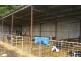 Cobden-Ecklin Road, Ecklin South VIC 3265
