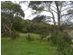 Allot T Cobden-Port Campbell Road, Port Campbell VIC 3269