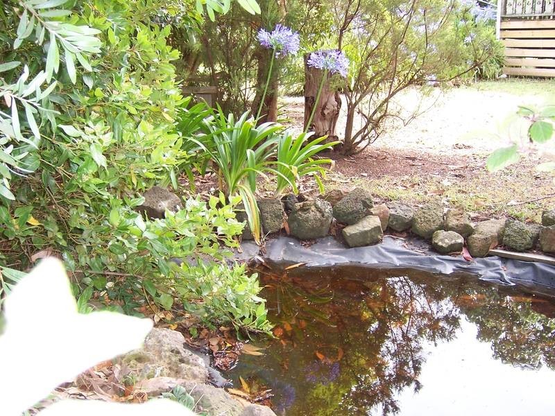 29 Morgan Street, Timboon VIC 3268