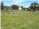 65 Silvester Street, Cobden VIC 3266