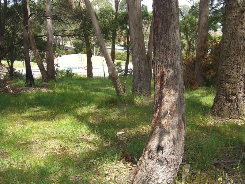 13 Dawson Street, Timboon VIC 3268