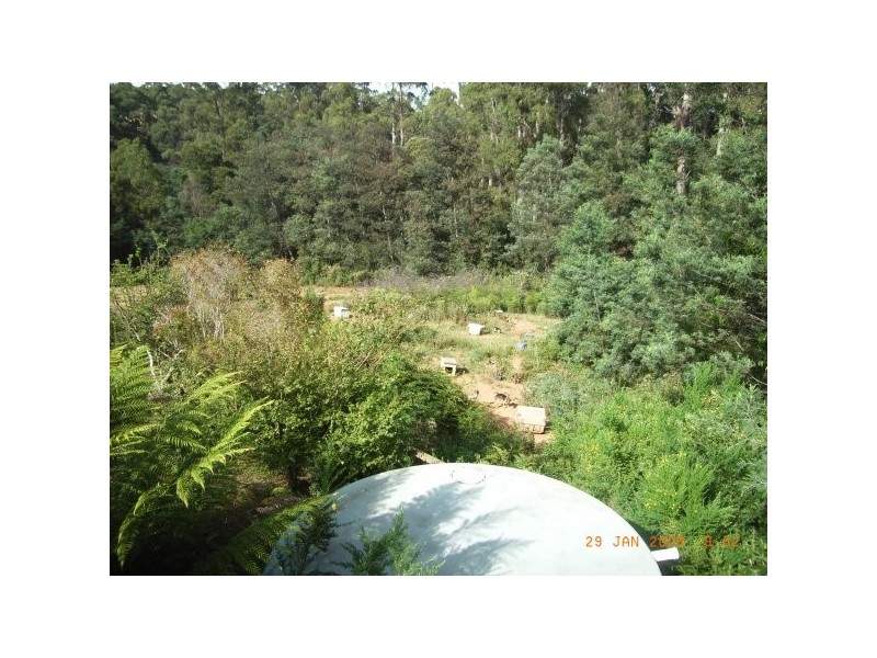 270 Allison Road, North Motton TAS 7315