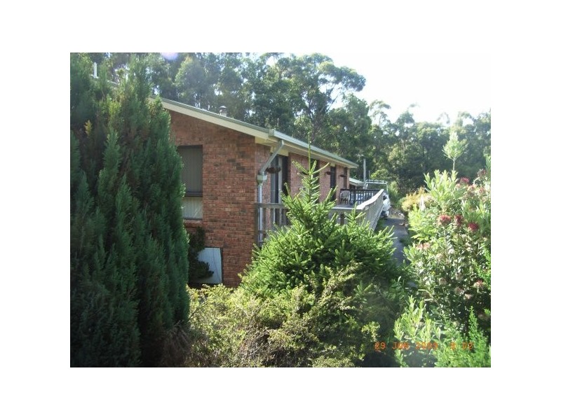 .270 Allison Road, North Motton TAS 7315