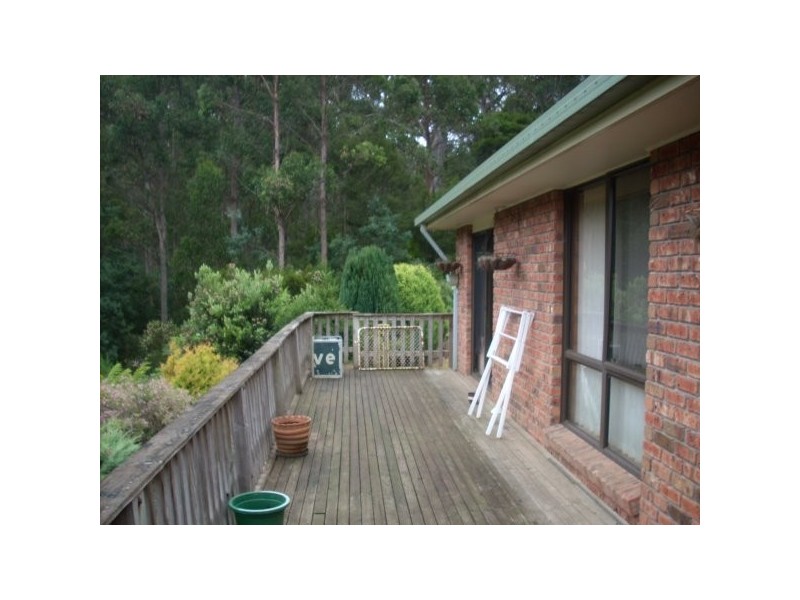 .270 Allison Road, North Motton TAS 7315