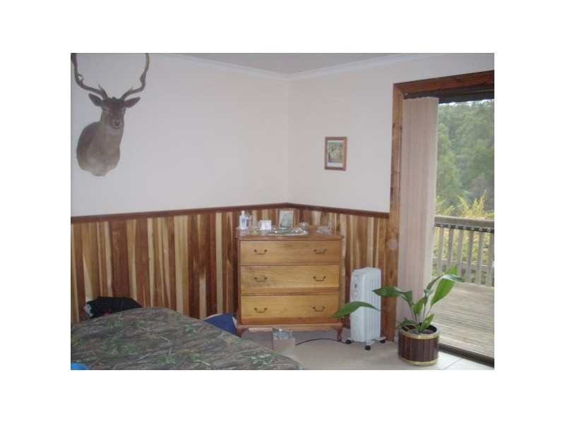 .270 Allison Road, North Motton TAS 7315