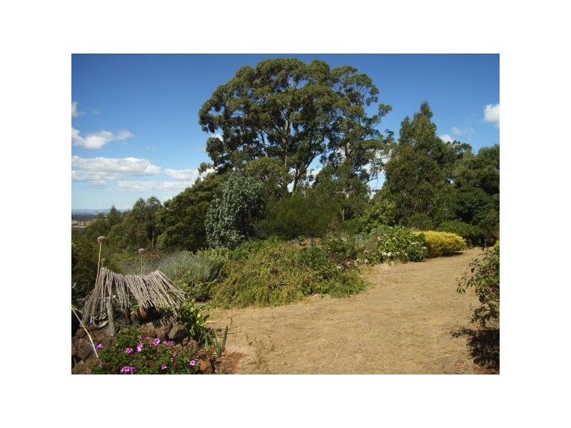 .2 Gunns Plains Road, North Motton TAS 7315