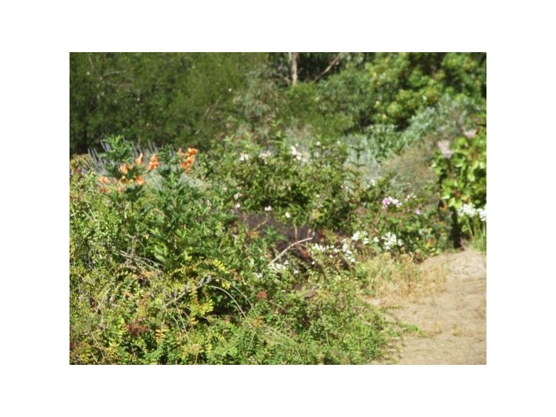 2 Gunns Plains Road, North Motton TAS 7315