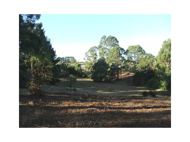 158 South Road, Penguin TAS 7316
