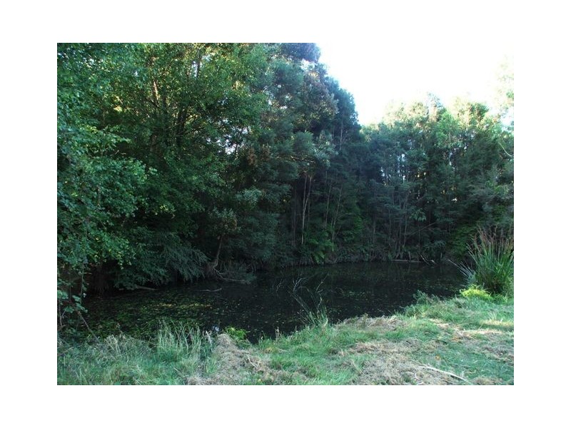 158 South Road, Penguin TAS 7316