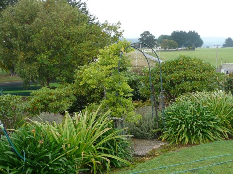 62 South Nietta Road, Nietta TAS 7315