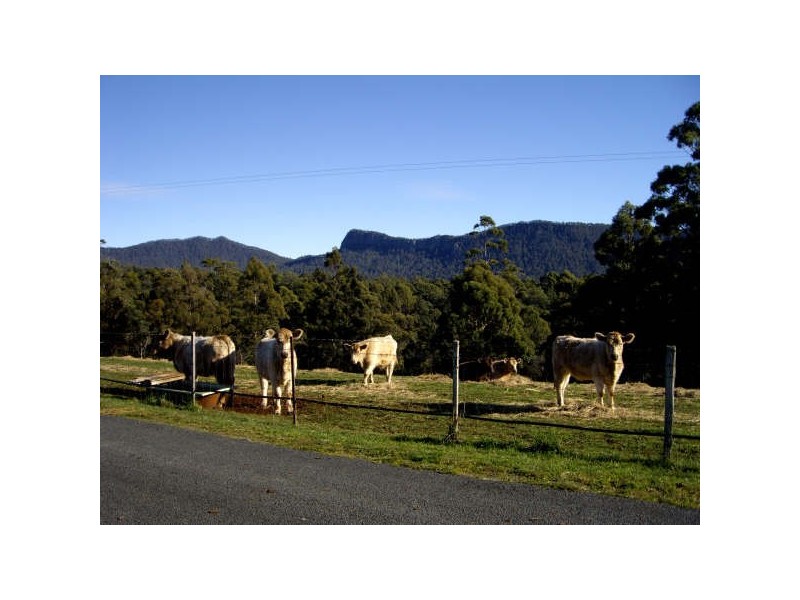 470 Allison Road, North Motton TAS 7315