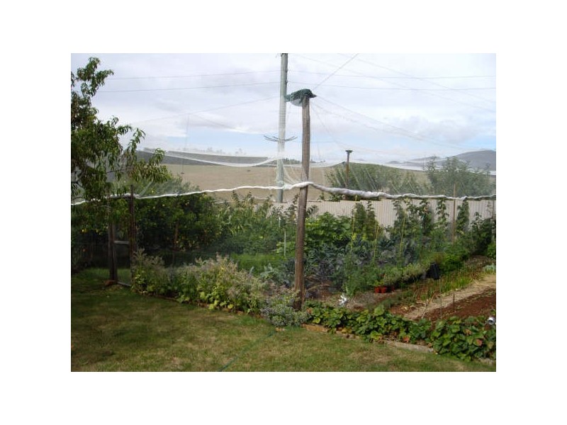 470 Allison Road, North Motton TAS 7315