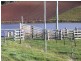 34 Littles Road, Forth TAS 7310