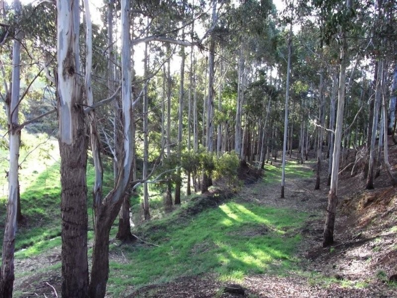 34 Littles Road, Forth TAS 7310