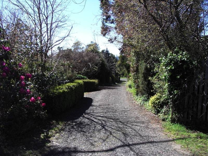 1564 Wilmot Road, Forth TAS 7310