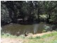 1564 Wilmot Road, Forth TAS 7310